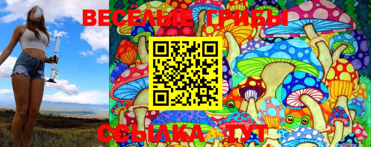 Псилоцибиновые грибы Psilocybe Лесосибирск