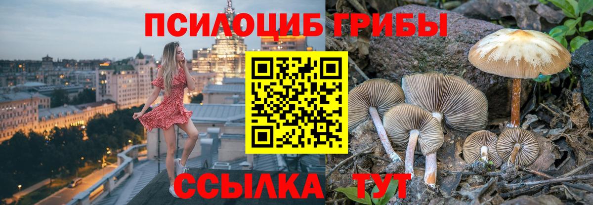 Галлюциногенные грибы GOLDEN TEACHER  как найти закладки  Вход с VPN  Лесосибирск  Псилоцибиновые грибы прущие грибы 